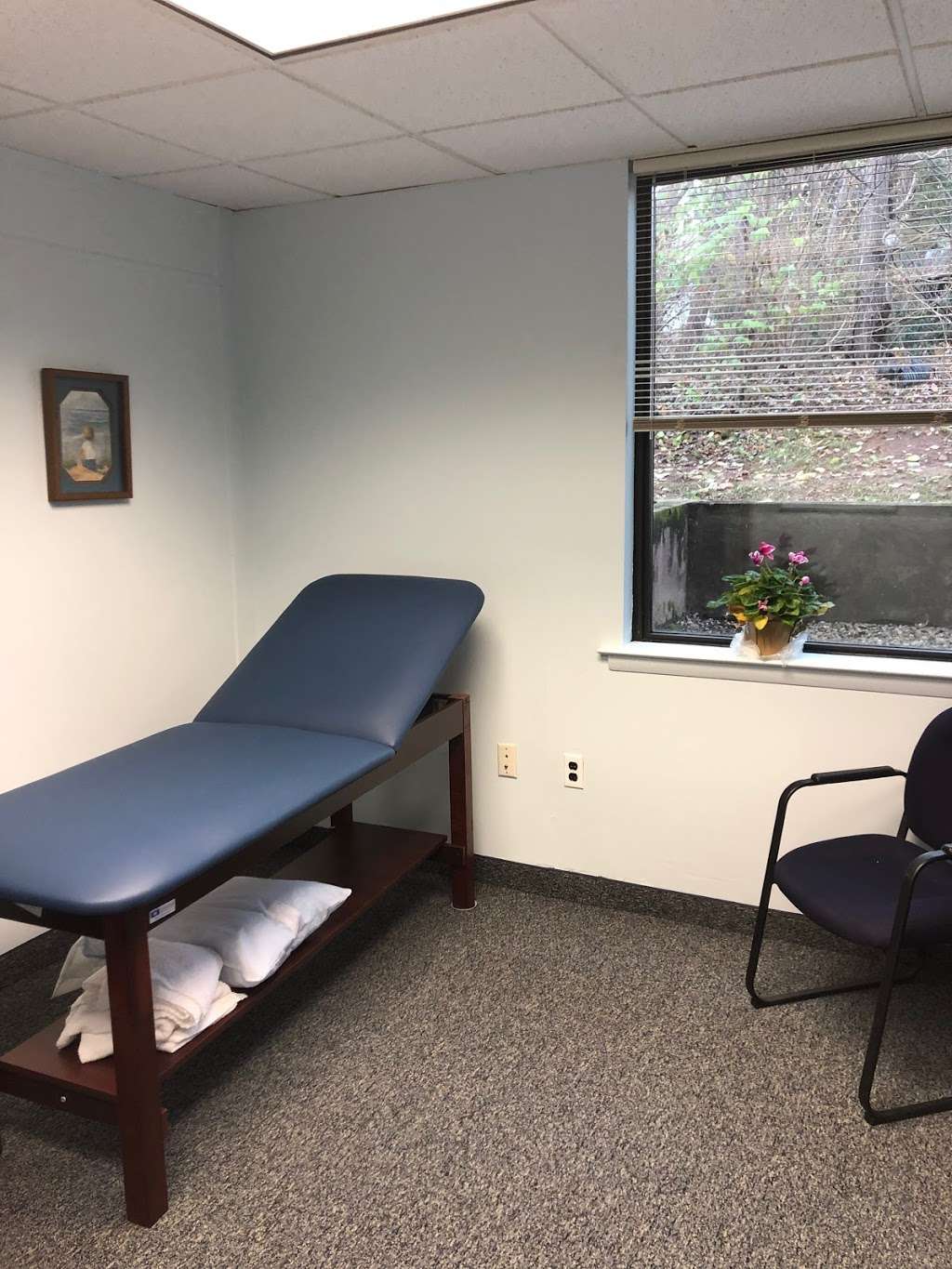 North Penn Physical Therapy | 1717 Swede Rd Ste 114, Blue Bell, PA 19422, USA | Phone: (215) 876-6933
