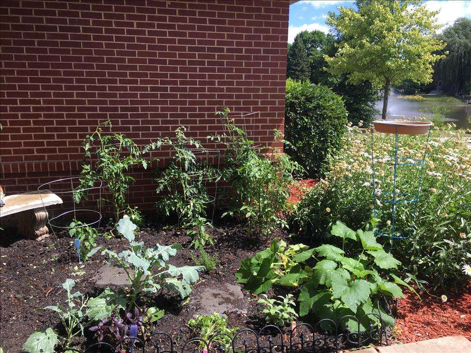 North Schaumburg KinderCare | 2601 Quentin Rd, Schaumburg, IL 60173, USA | Phone: (847) 397-0799