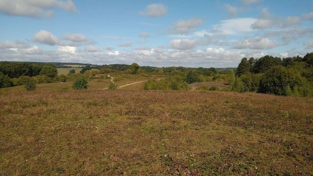 Waterford Heath Community Nature Park | Hertford SG14, UK