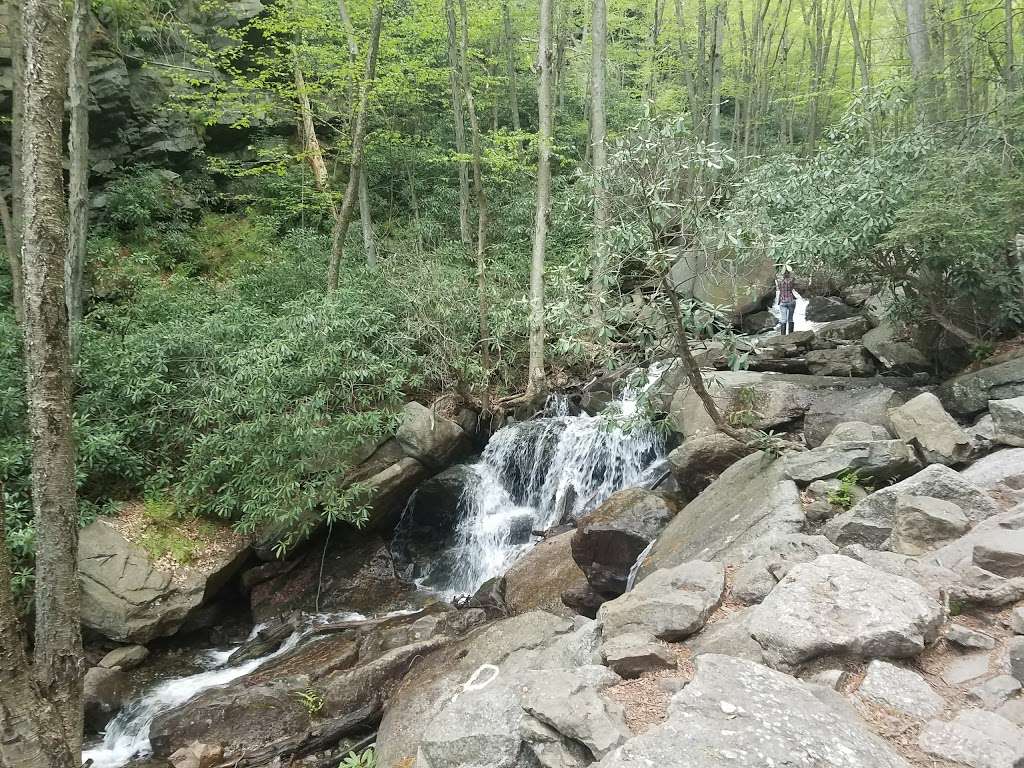 Lehigh Gorge | Jim Thorpe, PA 18229, USA