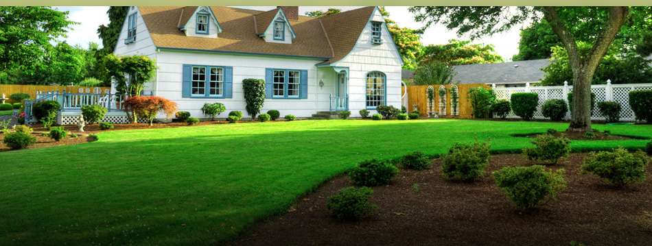 Top Turf Lawn Care and Pest Management | 4301 Pete Brown Rd, Charlotte, NC 28269, USA | Phone: (704) 597-2121