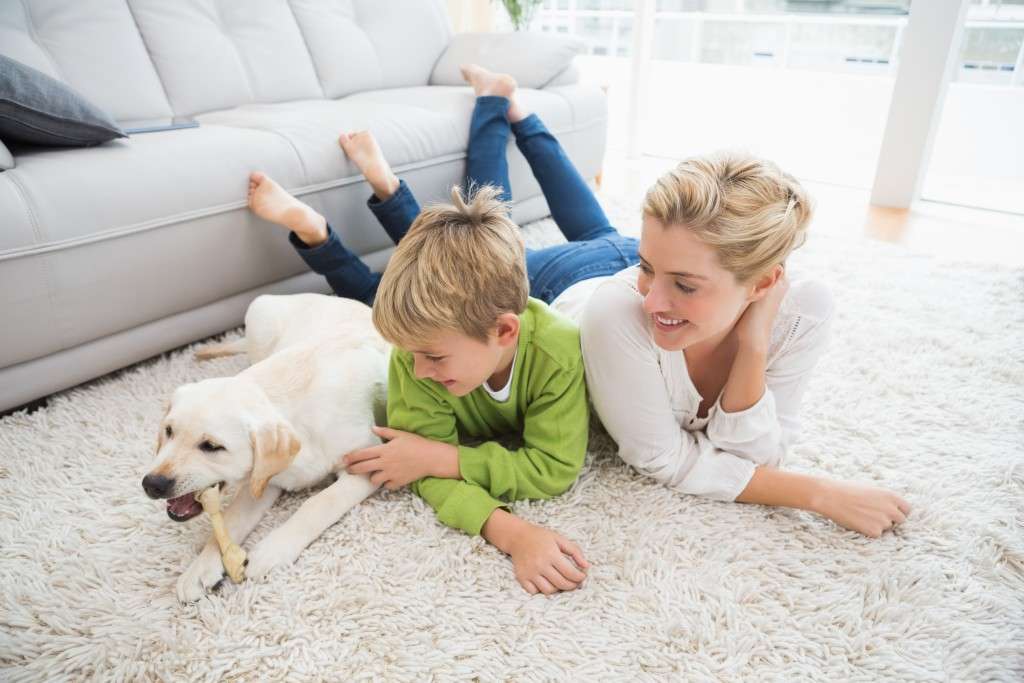 Carpet Cleaning Services In Hollywood | Los Angeles, CA, USA | Phone: (413) 223-6657