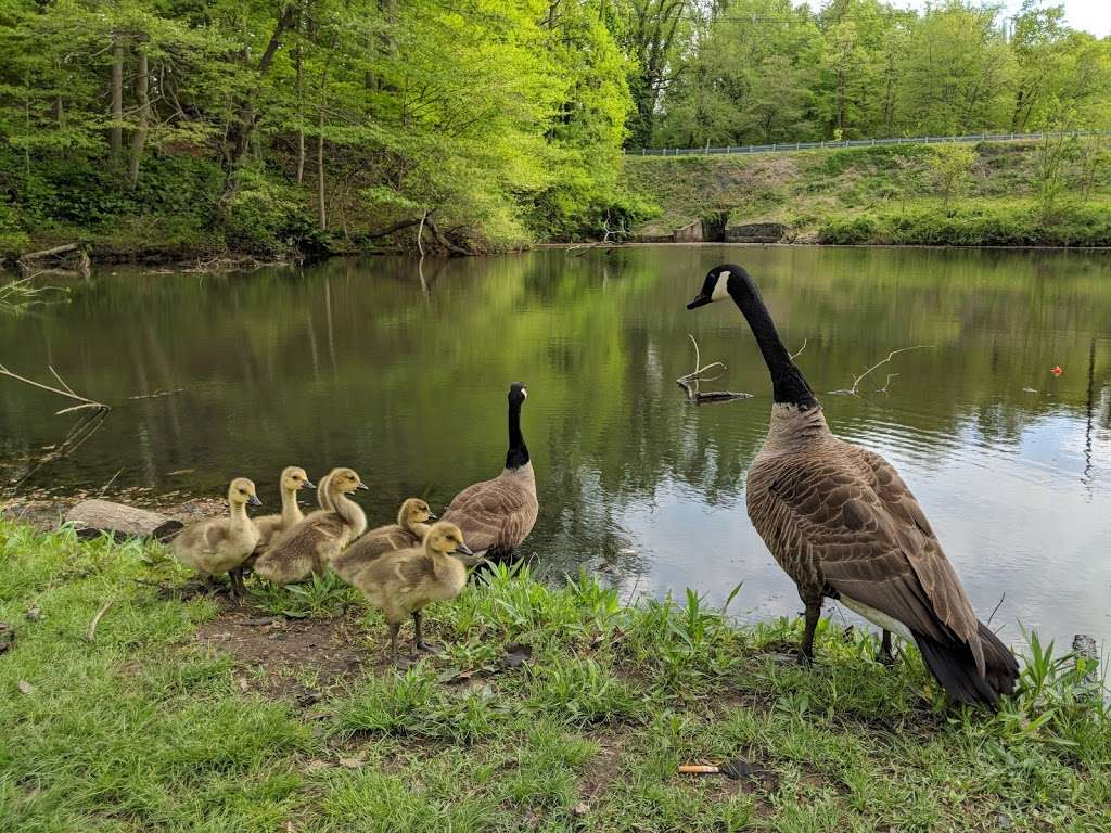 Cooper River Park | Cooper River,, Haddonfield, NJ 08033, USA