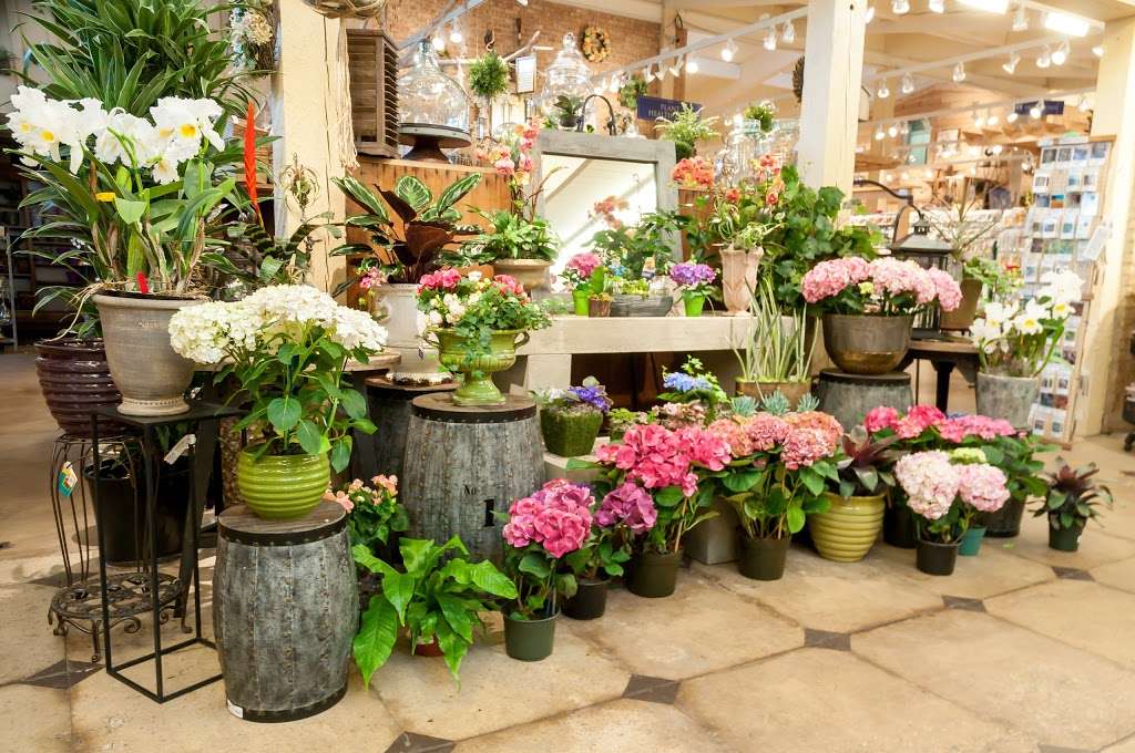 Chalet - Landscape/Nursery/Garden Center | 3132 Lake Ave, Wilmette, IL 60091, USA | Phone: (847) 256-0561