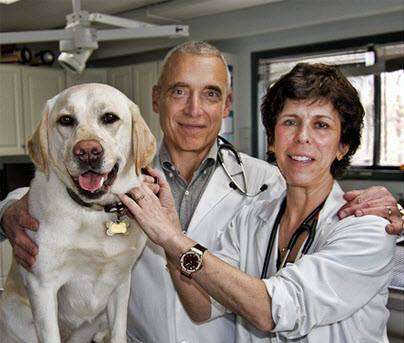 Newburgh Veterinary Hospital | 1716 NY-300, Newburgh, NY 12550, USA | Phone: (845) 564-2660