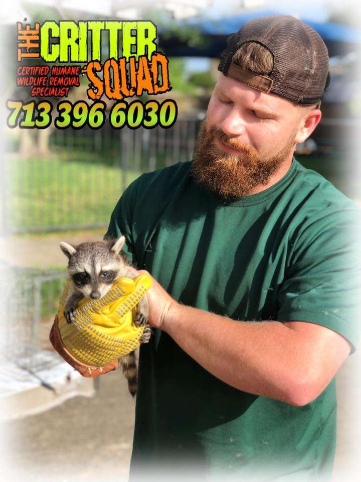 The Critter Squad Inc | 2811 County Rd 163, Alvin, TX 77511, USA | Phone: (281) 849-6008