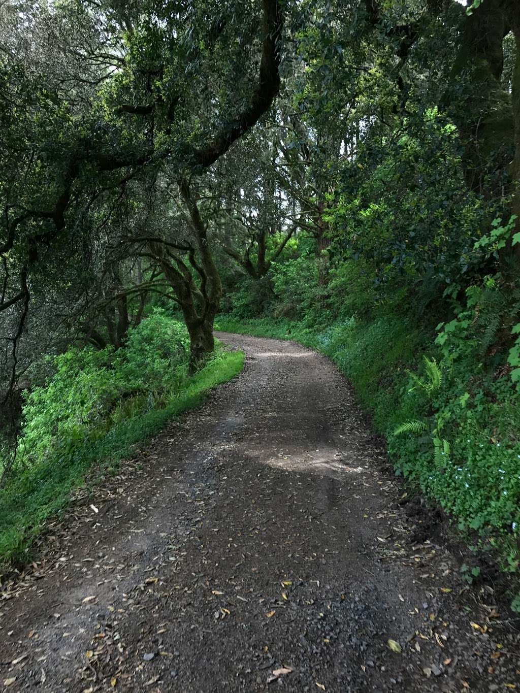 Sky Trailhead | Point Reyes Station, CA 94956, USA | Phone: (415) 464-5100