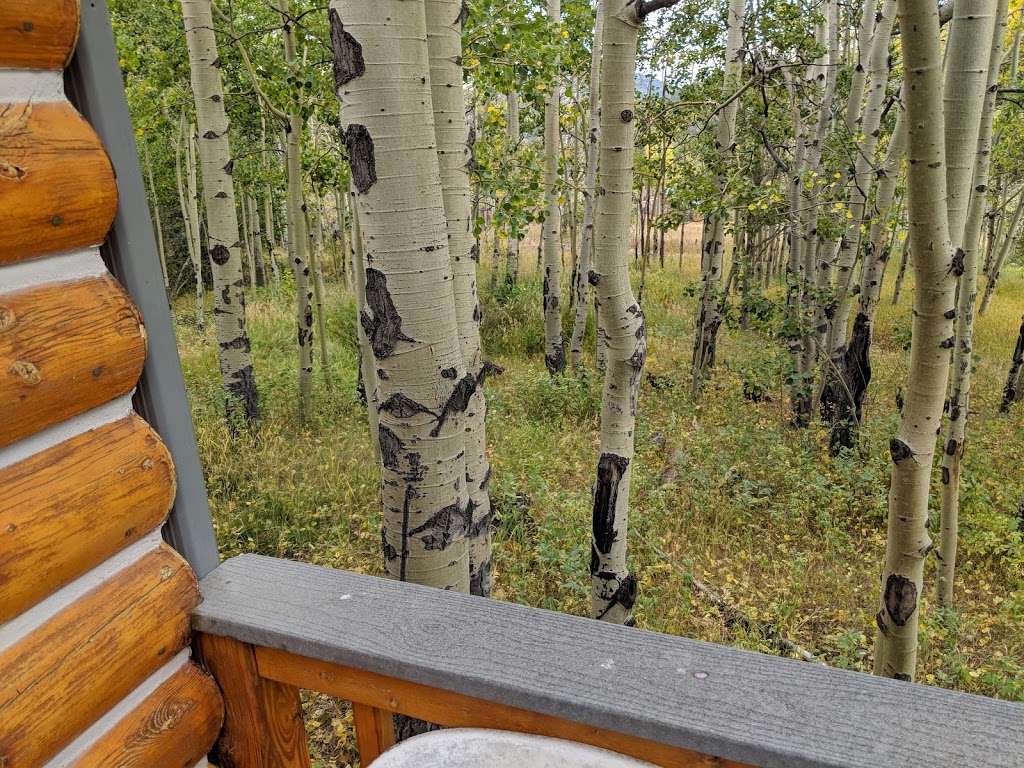 Aspen Mountain Cabin | 205 Ironclad View Rd, Allenspark, CO 80510, USA | Phone: (419) 346-6465