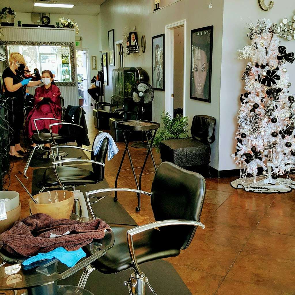 The Hair Connection | 12913 E Colonial Dr, Orlando, FL 32826, USA | Phone: (407) 281-0088