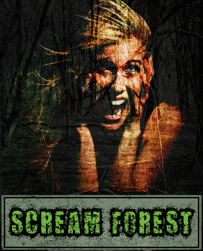 Creepy Hollow Scream Park | 14437 Stone Horse Creek Rd, Glen Allen, VA 23059, USA | Phone: (804) 346-3327