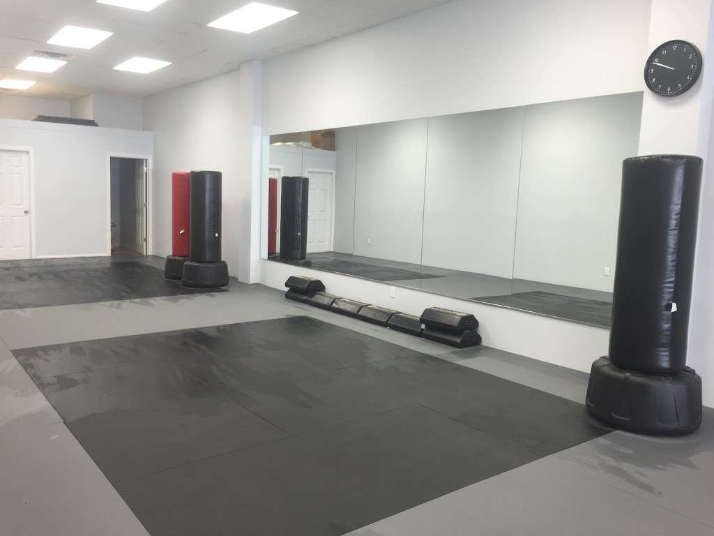 Blitz Dojo Martial Arts and Fitness | 412 Church Ave, Brooklyn, NY 11218, USA | Phone: (718) 851-2425