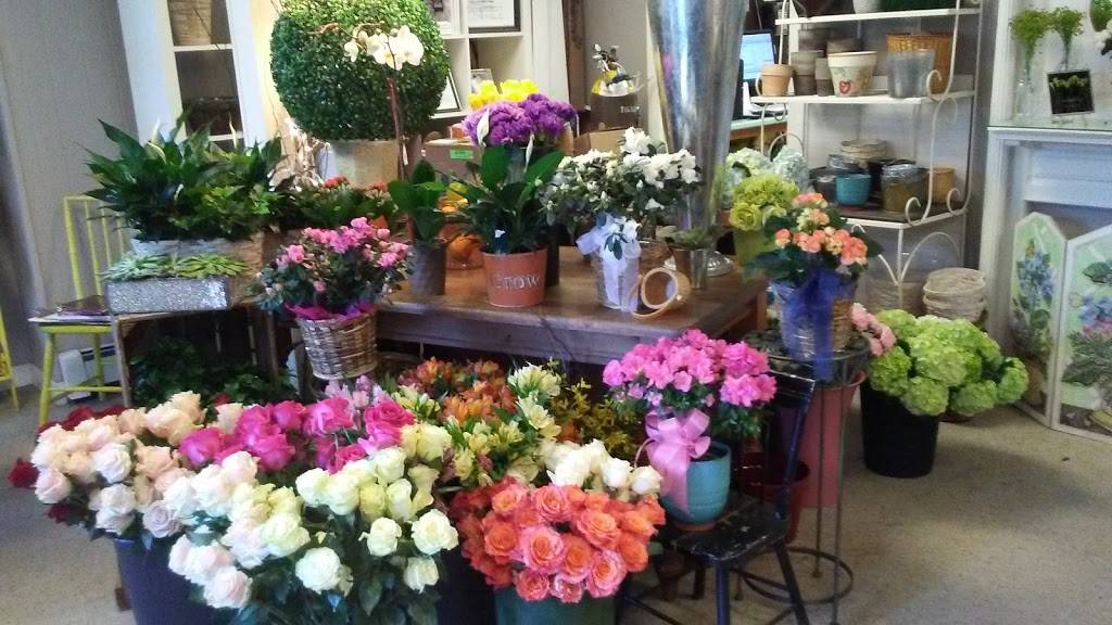 Coleens Flower Shop | 912 Dorchester Ave, Dorchester, MA 02125, USA | Phone: (617) 282-0468