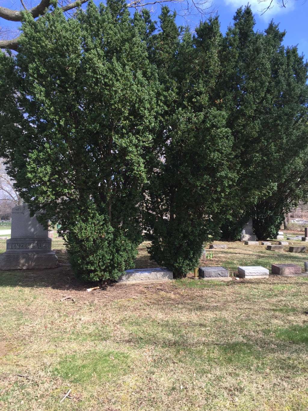 Maplewood Cemetery | 200 College Dr, Anderson, IN 46012, USA | Phone: (765) 642-3714