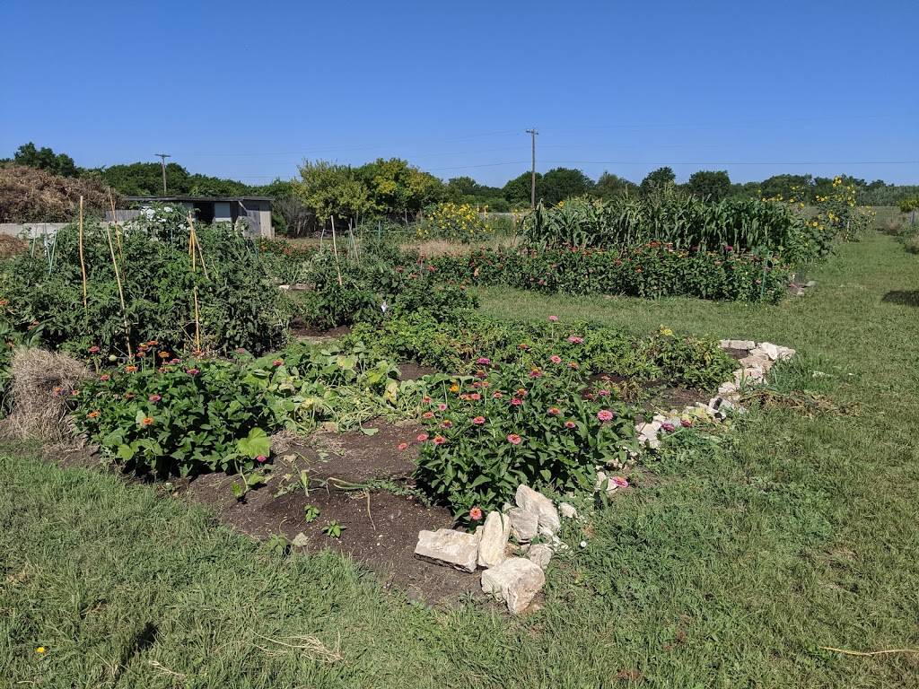 Pecan Street Community Garden | 15500 Sun Light Near Way, Pflugerville, TX 78660, USA | Phone: (512) 990-6360