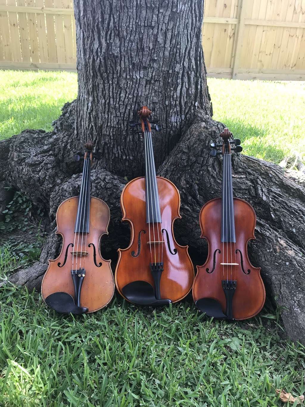 Laura Mros Violinist | Clear Lake, Houston, TX 77062 | Phone: (586) 823-3976