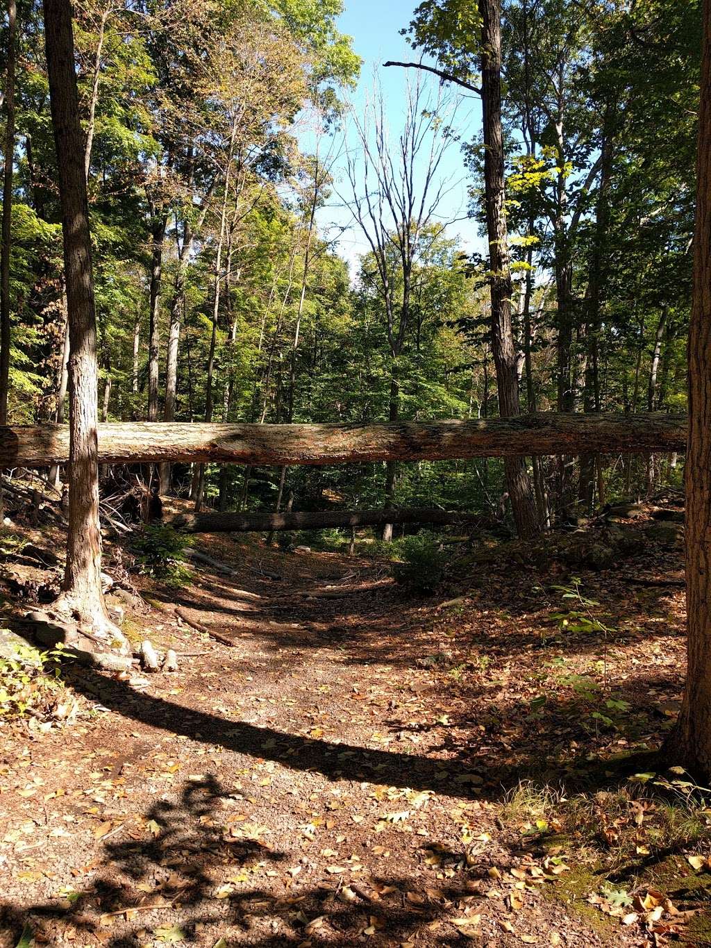 Cranberry Lake Parking Lot | West Harrison, NY 10604, USA