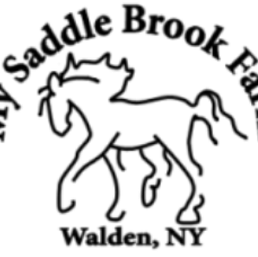 My Saddle Brook Farm | 163 Berea Rd, Walden, NY 12586, USA | Phone: (845) 778-3420