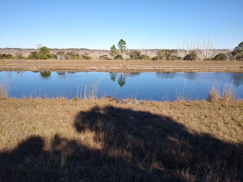 Loxahatchee Slough Natural Area | 9060 W Indiantown Rd, Jupiter, FL 33478, USA | Phone: (561) 233-2400