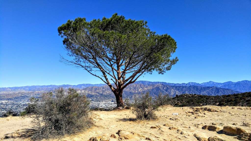 Starting point of Wisdom Tree Hike | Lake Hollywood Dr, Los Angeles, CA 90068, USA