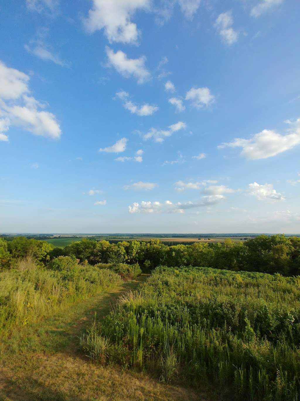 Cooley Lake lookout | Excelsior Springs, MO 64024, USA