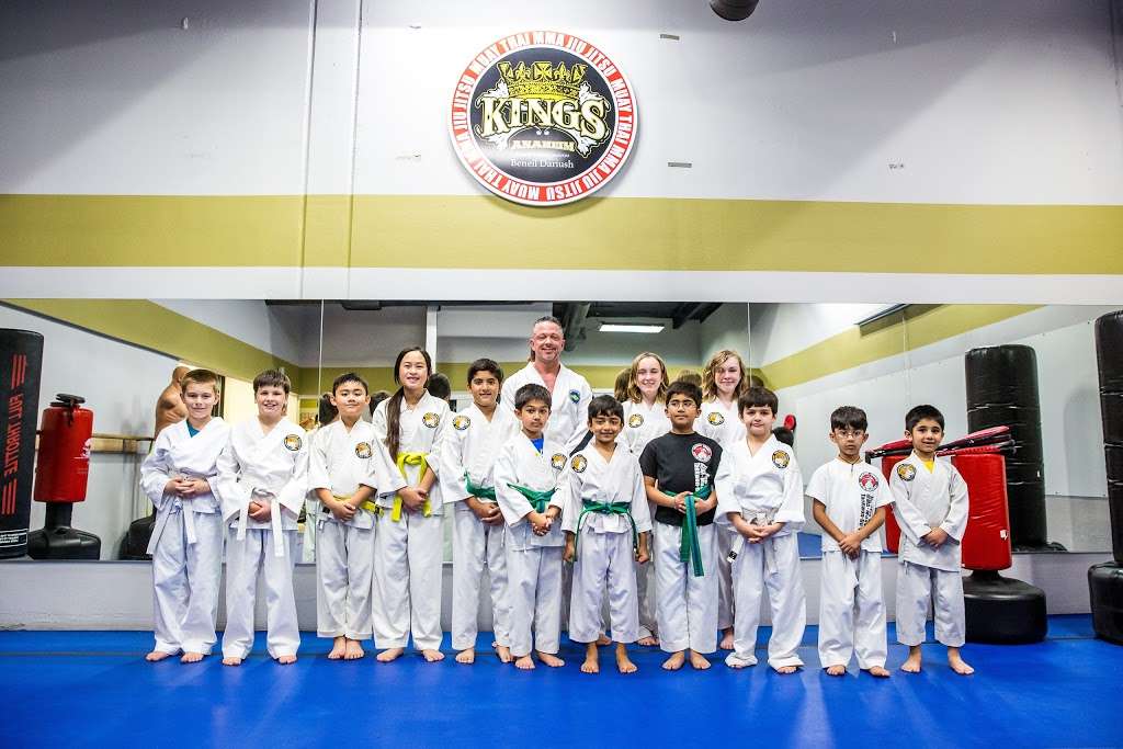 Kings MMA Anaheim | 4388 E La Palma Ave, Anaheim, CA 92807, USA | Phone: (657) 549-7825