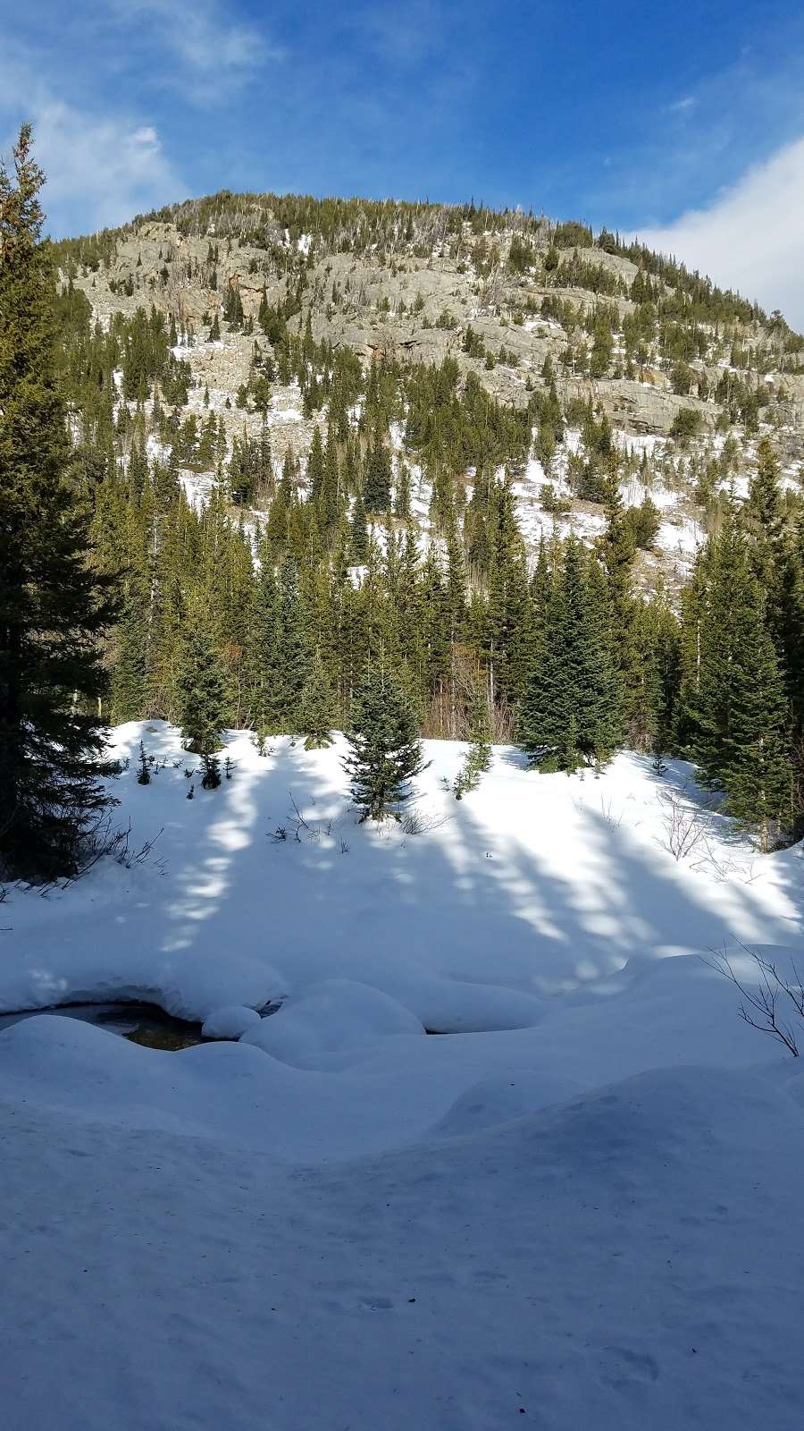 Buchanan Pass Trailhead | Middle Saint Vrain Road, Allenspark, CO 80510, USA | Phone: (970) 295-6600