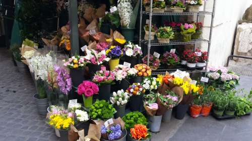 Brooklyn Flowers Florist | 2915 W 5th St, Brooklyn, NY 11224, USA | Phone: (718) 285-3885