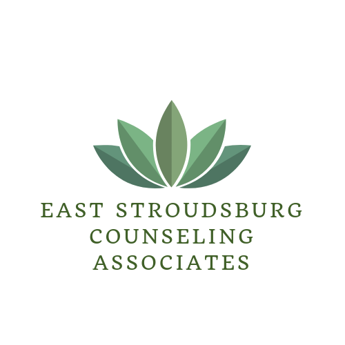 East Stroudsburg Counseling Associates LLC | 529 Seven Bridge Rd Suite 207, East Stroudsburg, PA 18301, United States | Phone: (570) 664-7050