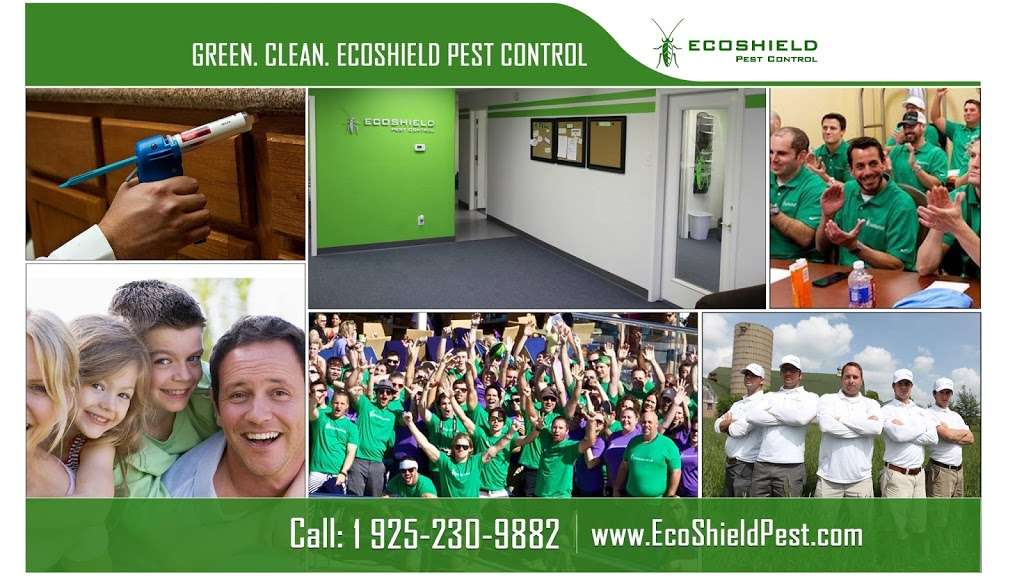 EcoShield Pest Control | 3991 First St Suite F, Livermore, CA 94551, USA | Phone: (925) 348-9555