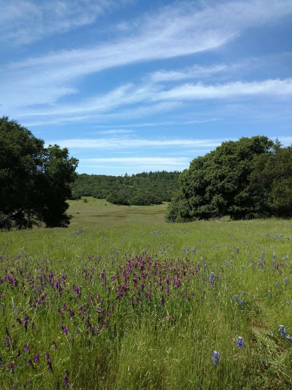 Trione-Annadel State Park | 6201 Channel Dr, Santa Rosa, CA 95409, USA | Phone: (707) 539-3911