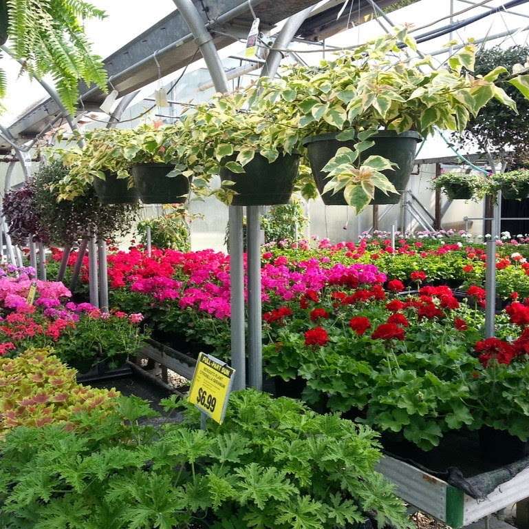 Brawners Greenhouse | 1015 E Broadway St, Fortville, IN 46040, USA | Phone: (317) 485-5853