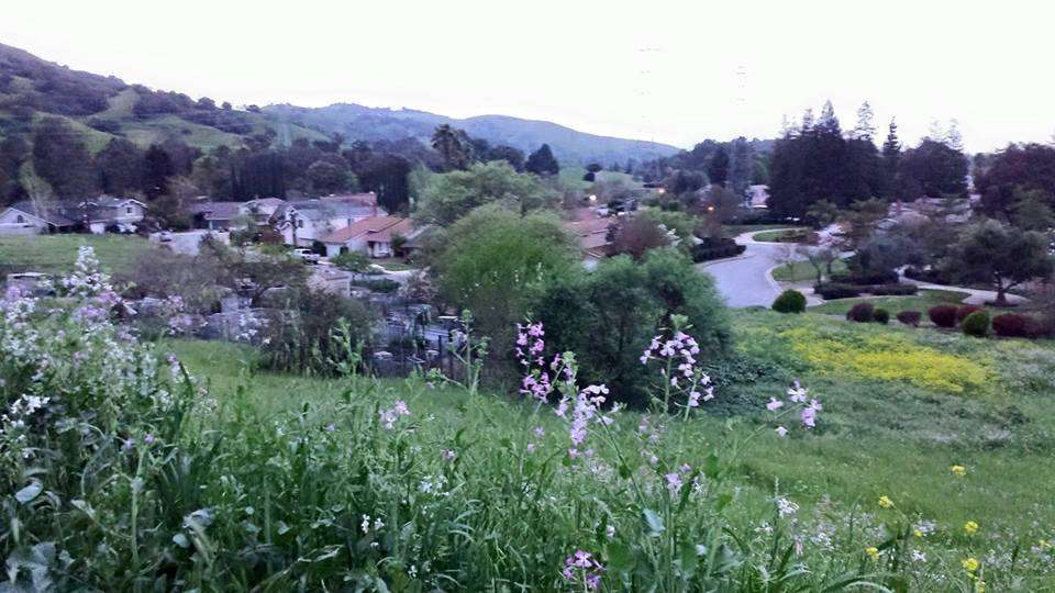 Community garden | San Jose, CA 95139