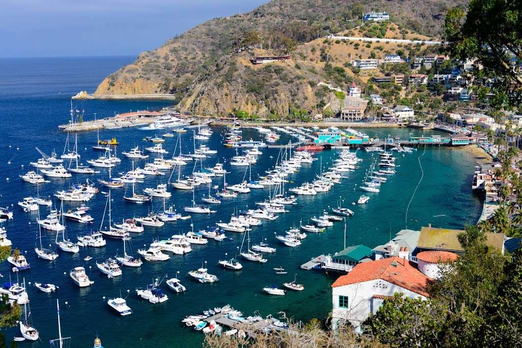 Catalina Adventure Tours | 1 Cabrillo Mole, Avalon, CA 90704, USA | Phone: (562) 432-8828