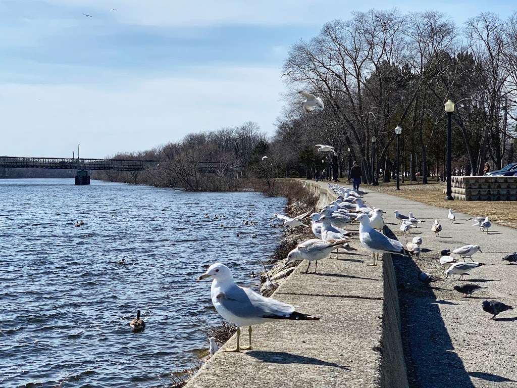 UMass Lowell Kayak Center | 500 Pawtucket Blvd, Lowell, MA 01854, USA | Phone: (978) 995-2362