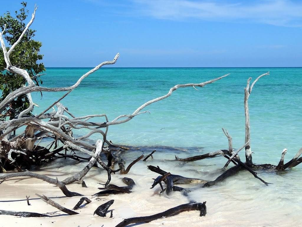 Gilbert Garcia Group, PA Attorneys at Law | 2313 W Violet St, Tampa, FL 33603, USA | Phone: (813) 443-5087