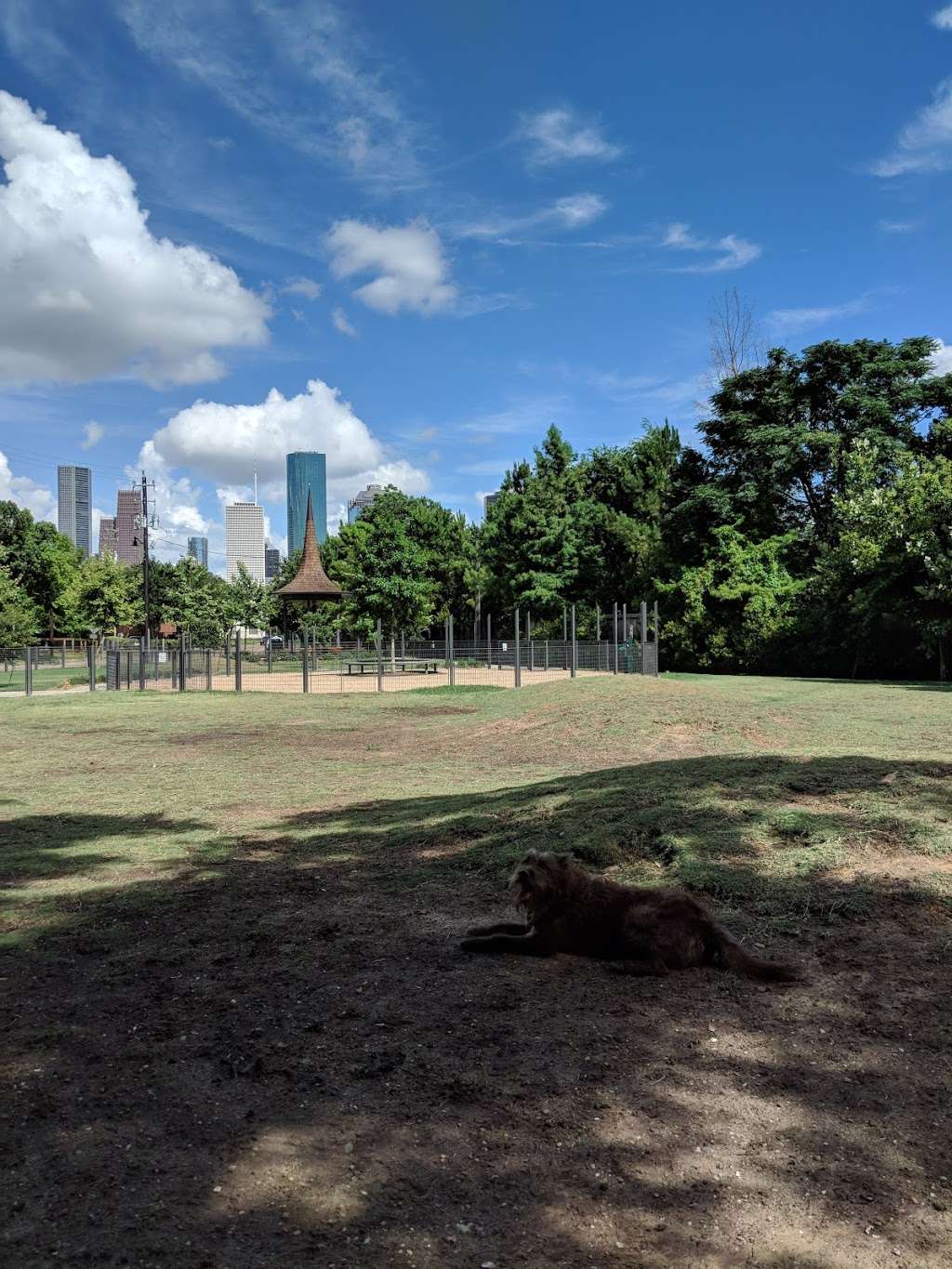 Park For Humans And Dogs | 901 Sawyer St, Houston, TX 77007, USA