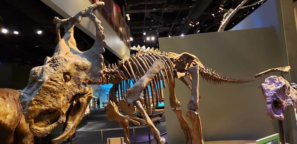 Perot Museum Lot B | 1159 Broom St, Dallas, TX 75202, USA