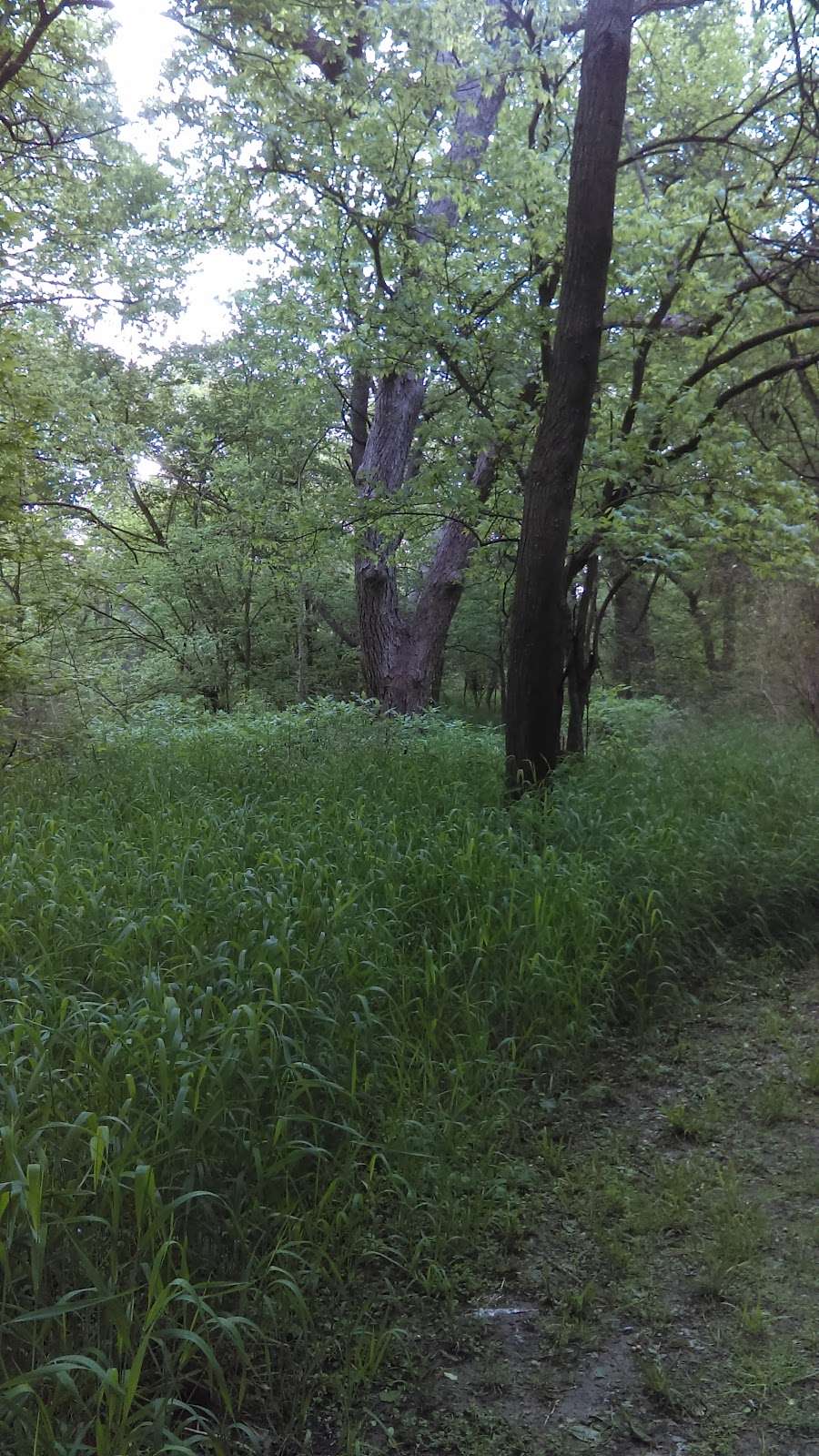 Ten Mile Creek Preserve | Nokomis Rd, Lancaster, TX 75146, USA