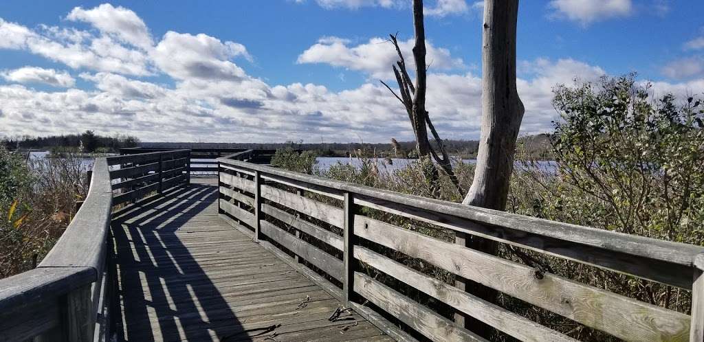 Edwin B Forsythe National Wildlife Refuge | Barnegat, NJ 08005