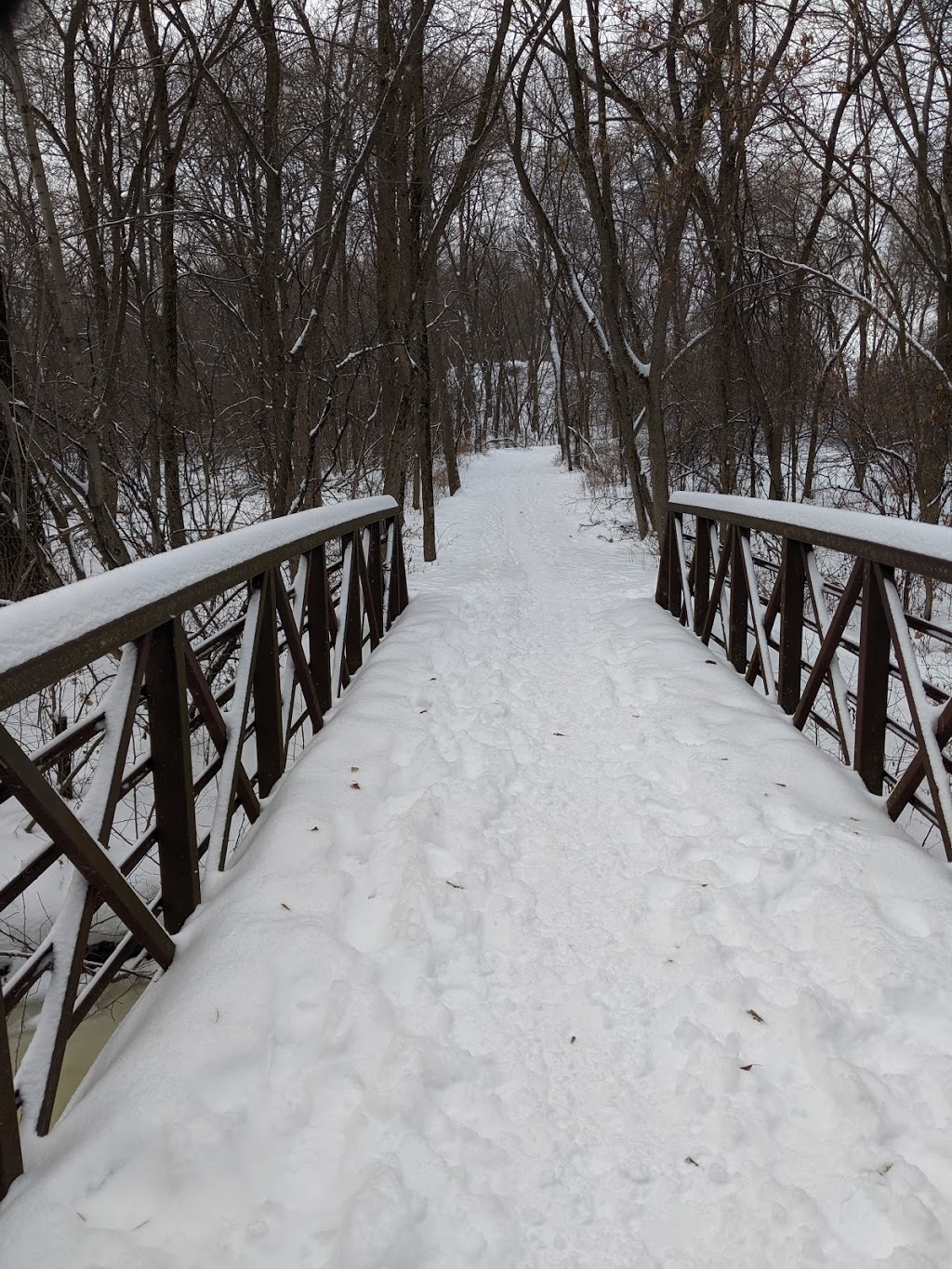 Locke County Dog Park | Rice Creek West Regional Trail, Fridley, MN 55432, USA | Phone: (763) 757-3920