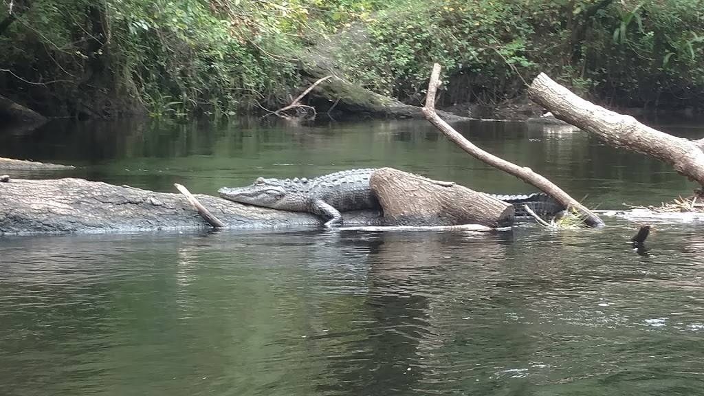 Lower Hillsborough Wilderness Preserve | 15846 Morris Bridge Rd, Thonotosassa, FL 33592, USA | Phone: (813) 987-6209