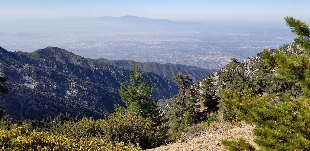 Kelly Camp | Mt Baldy, CA 91759