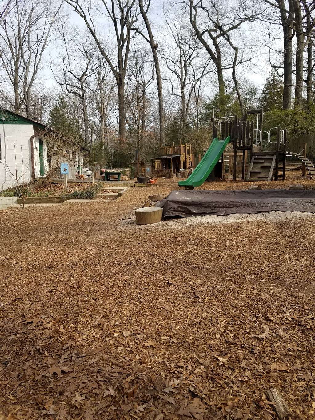 Tauxemont Cooperative Preschool | 7719 Fort Hunt Rd, Alexandria, VA 22308 | Phone: (703) 765-9266