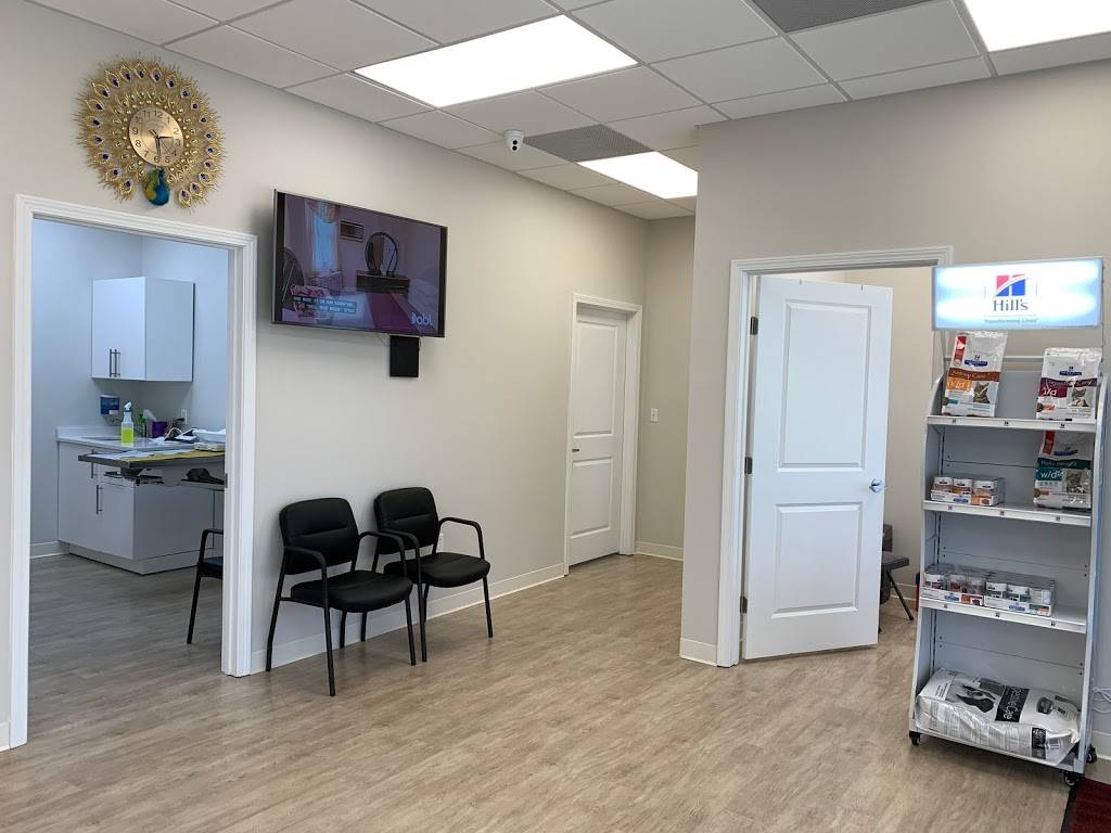 Sunshine Animal Clinic, Jacksonville, FL. 32216 | 4131 Southside Blvd Suit # 205, Jacksonville, FL 32216, USA | Phone: (904) 592-9166