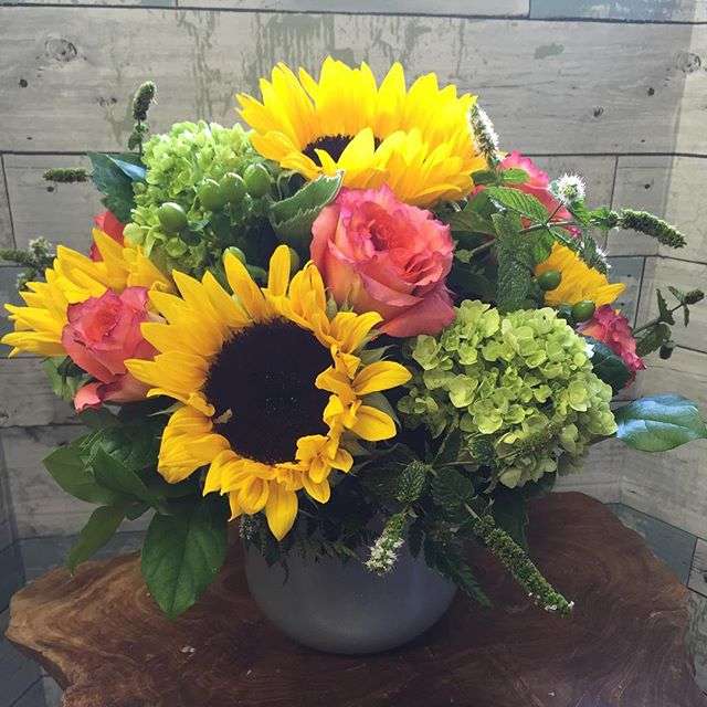 Petries Flower & Plant Shoppe | 409 Lynn Fells Pkwy, Saugus, MA 01906 | Phone: (781) 233-5642