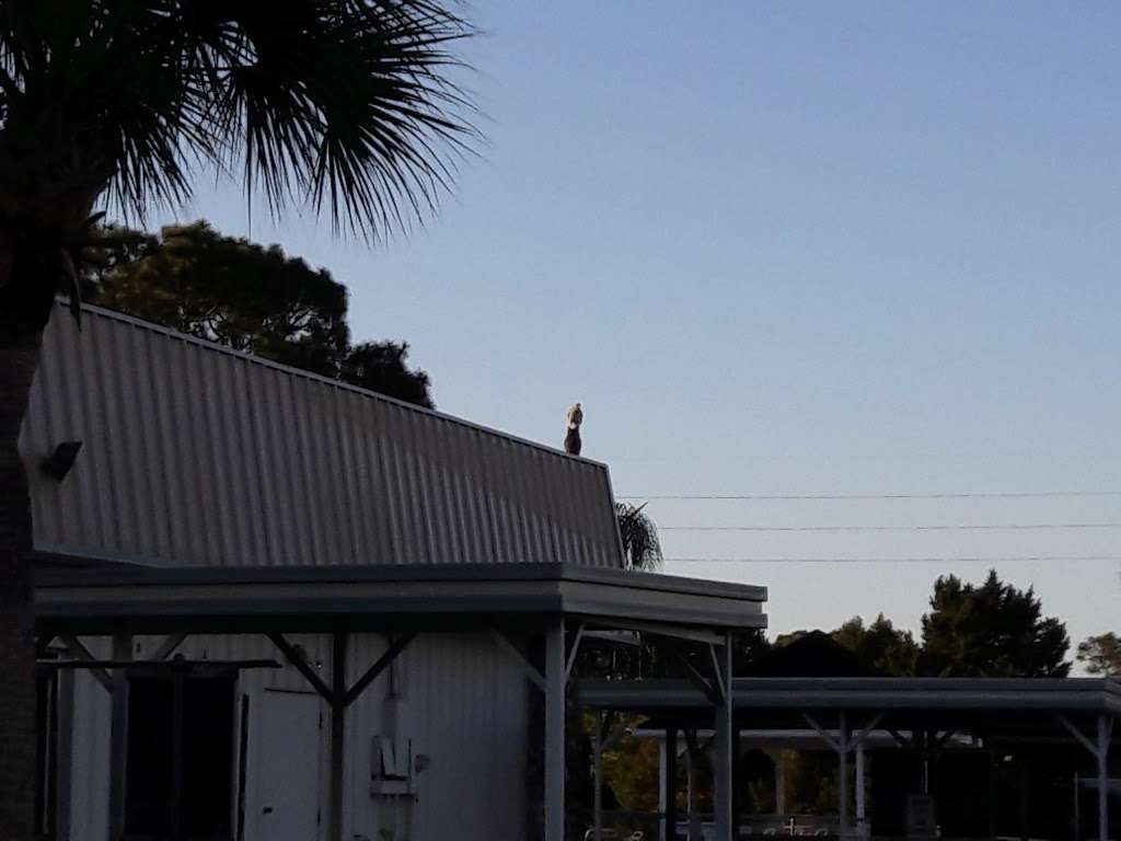 Haselton Village 14 Coral St, Eustis, FL 32726