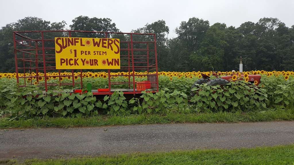 Farm Stand | 2441, 2417 Hampstead Mexico Rd, Westminster, MD 21157