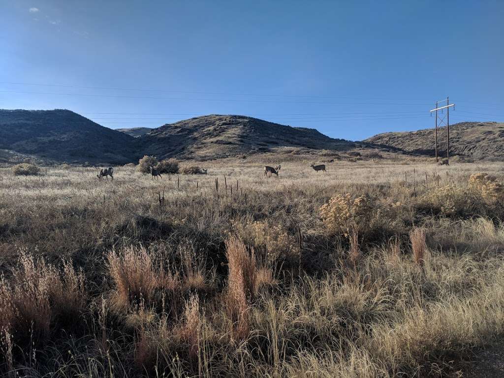 Blue Sky Trailhead Parking | 4780 W County Rd 38 E, Fort Collins, CO 80526, USA