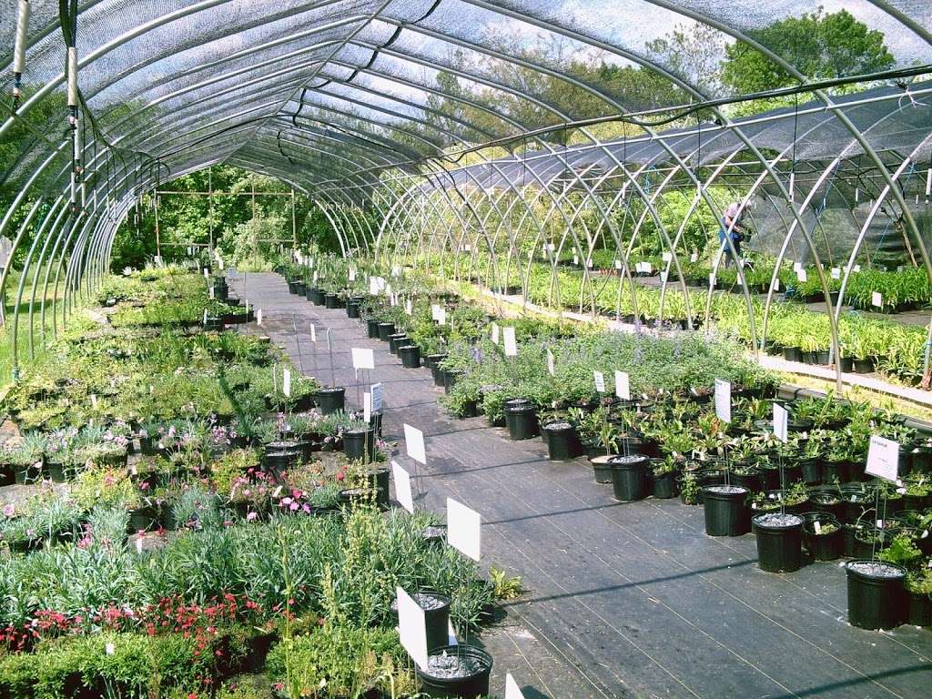 Abernethy & Spencer Greenhouse and Garden Center | 18035 Lincoln Rd, Purcellville, VA 20132, USA | Phone: (540) 338-9118