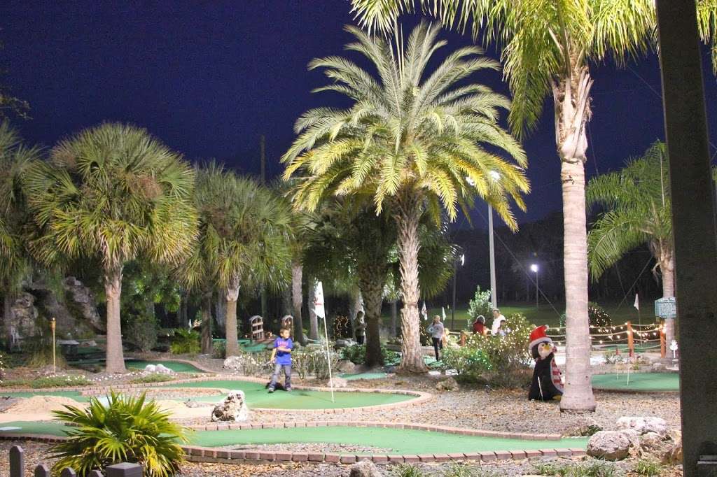 Tree Tops Golf | 698 W Lady Lake Blvd, Lady Lake, FL 32159 | Phone: (352) 259-2313